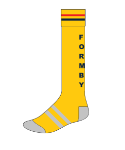 FHC Playing Socks