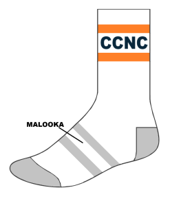 CNCC NEW Socks