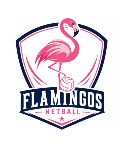Flamingo Netball